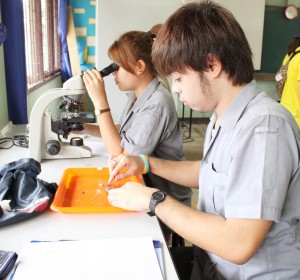 ภาพประกอบเว็บไซต์