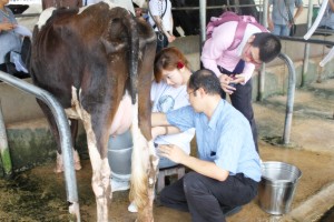 ภาพประกอบเว็บไซต์