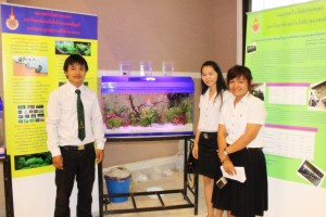 ภาพประกอบเว็บไซต์