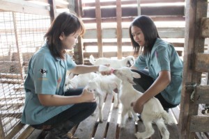 ภาพประกอบเว็บไซต์