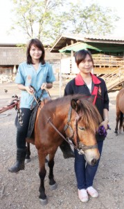 ภาพประกอบเว็บไซต์