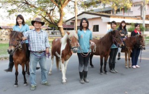 ภาพประกอบเว็บไซต์