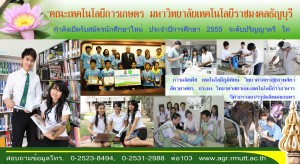 ภาพประกอบเว็บไซต์
