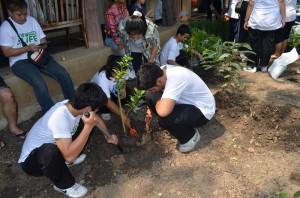 ภาพประกอบเว็บไซต์