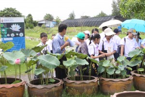 ภาพประกอบเว็บไซต์
