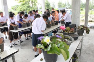ภาพประกอบเว็บไซต์
