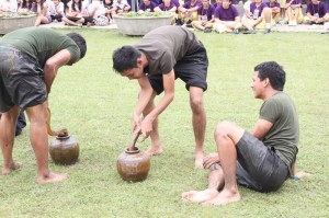ภาพประกอบเว็บไซต์