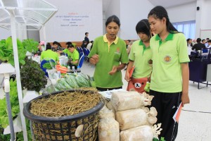 ภาพประกอบเว็บไซต์