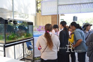 ภาพประกอบเว็บไซต์