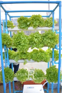 ภาพประกอบเว็บไซต์