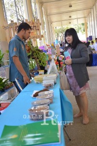ภาพประกอบเว็บไซต์