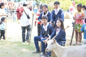 ภาพประกอบเว็บไซต์