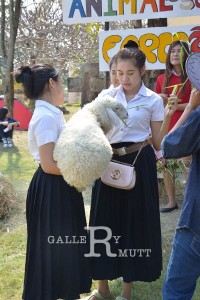 ภาพประกอบเว็บไซต์