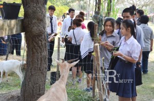 ภาพประกอบเว็บไซต์