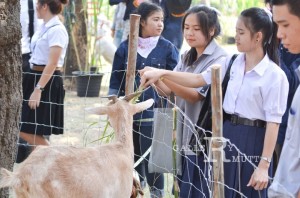 ภาพประกอบเว็บไซต์