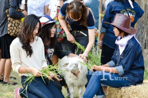 ภาพประกอบเว็บไซต์