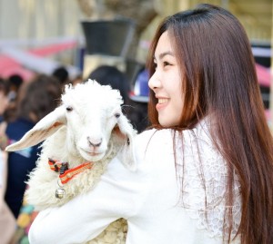 ภาพประกอบเว็บไซต์