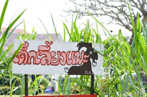 ภาพประกอบเว็บไซต์