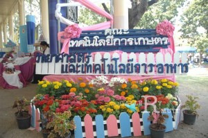 ภาพประกอบเว็บไซต์