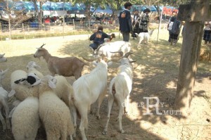 ภาพประกอบเว็บไซต์