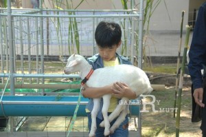 ภาพประกอบเว็บไซต์