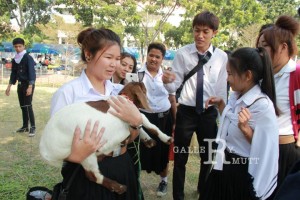 ภาพประกอบเว็บไซต์
