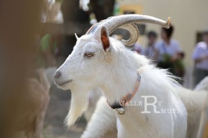 ภาพประกอบเว็บไซต์