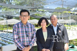 ภาพประกอบเว็บไซต์