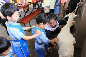 ภาพประกอบเว็บไซต์