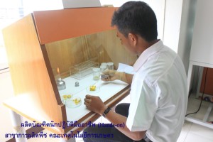ภาพประกอบเว็บไซต์