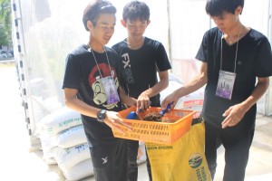 ภาพประกอบเว็บไซต์