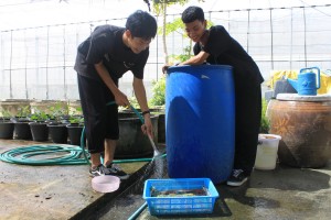 ภาพประกอบเว็บไซต์