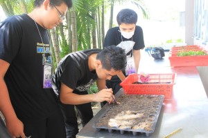 ภาพประกอบเว็บไซต์