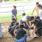 สาขาวิชาเทคโนโลยีการผลิตสัตว์และวิทยาศาสตร์สุขภาพสัตว์