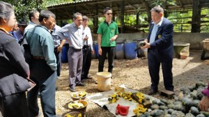ภาพประกอบเว็บไซต์