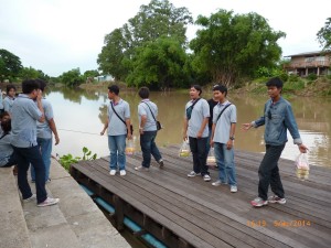 ภาพประกอบเว็บไซต์