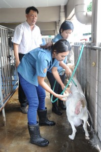 ภาพประกอบเว็บไซต์