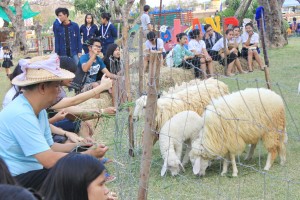 ภาพประกอบเว็บไซต์
