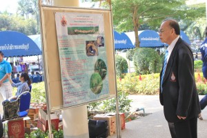 ภาพประกอบเว็บไซต์