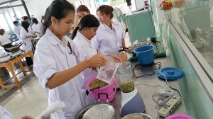 ภาพประกอบเว็บไซต์