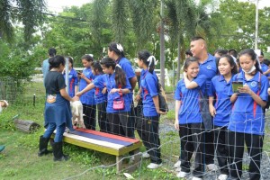 ภาพประกอบเว็บไซต์