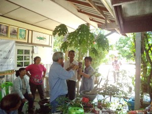 ภาพประกอบเว็บไซต์