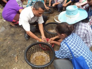 ภาพประกอบเว็บไซต์