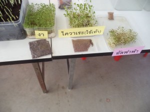 ภาพประกอบเว็บไซต์