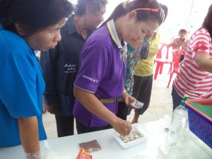 ภาพประกอบเว็บไซต์