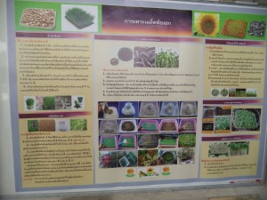 ภาพประกอบเว็บไซต์