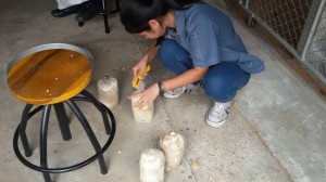 ภาพประกอบเว็บไซต์