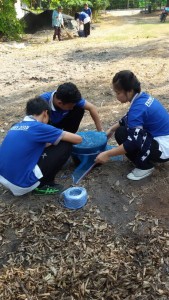 ภาพประกอบเว็บไซต์