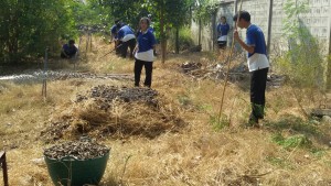 ภาพประกอบเว็บไซต์