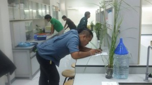 ภาพประกอบเว็บไซต์